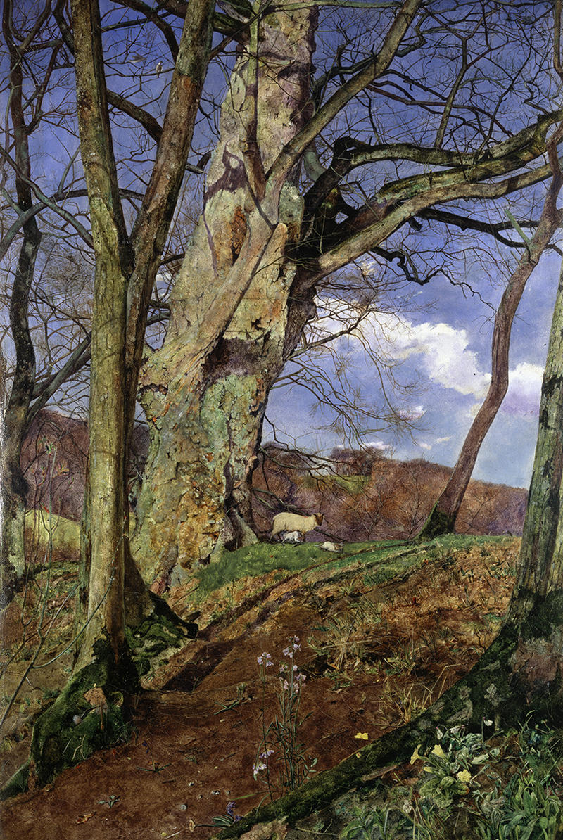 A richly coloured spring scene in a wooded area featuring foliage in the foreground, a sheep and two lambs in the mid ground and blue sky with clouds in the background.